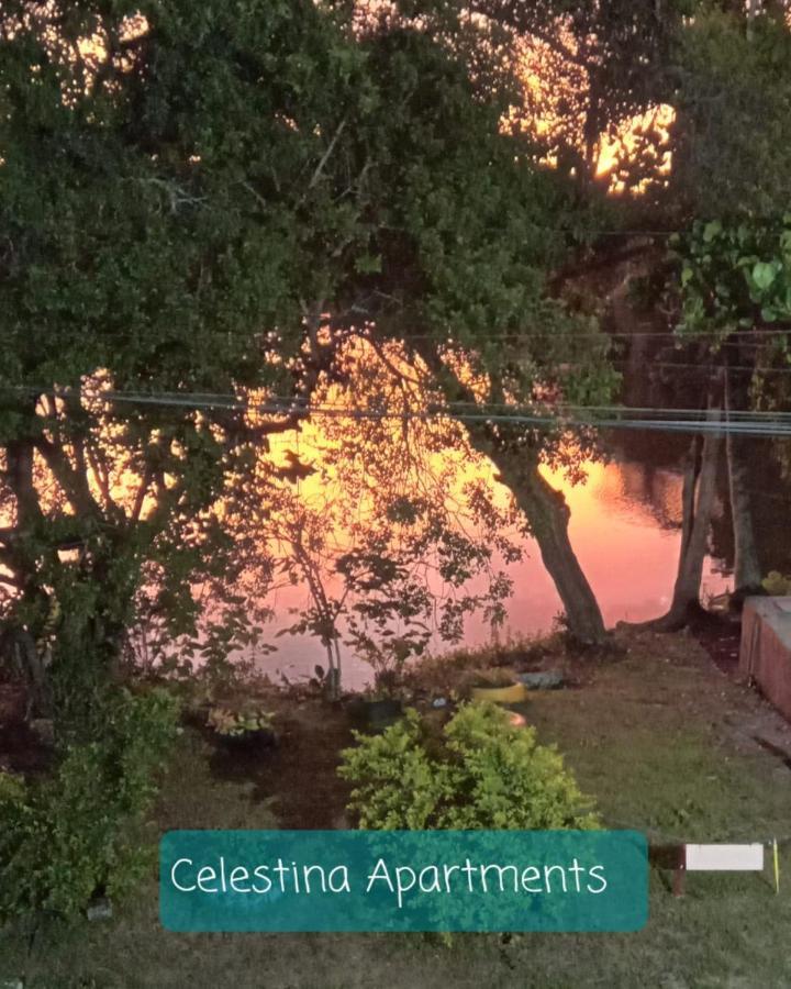 Casa De Praia Armacao dos Buzios Bagian luar foto